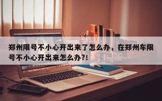 郑州限号不小心开出来了怎么办，在郑州车限号不小心开出来怎么办?！