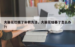 大丽花烂根了补救方法，大丽花枯萎了怎么办?！