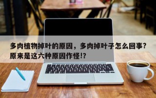 多肉植物掉叶的原因，多肉掉叶子怎么回事?原来是这六种原因作怪!？