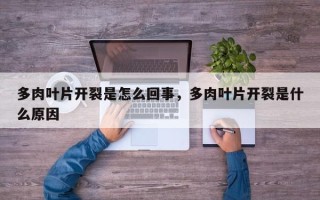 多肉叶片开裂是怎么回事，多肉叶片开裂是什么原因