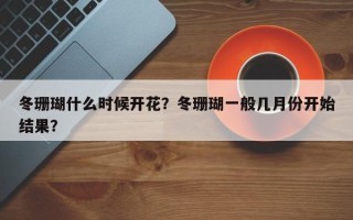 冬珊瑚什么时候开花？冬珊瑚一般几月份开始结果？