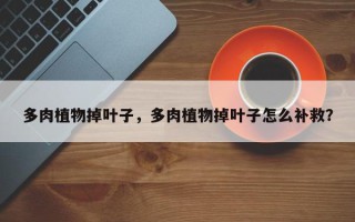 多肉植物掉叶子，多肉植物掉叶子怎么补救？