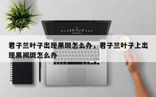 君子兰叶子出现黑斑怎么办，君子兰叶子上出现黑褐斑怎么办
