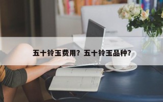 五十铃玉费用？五十铃玉品种？