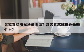 含笑喜欢阳光还是阴凉？含笑喜欢酸性还是碱性土？