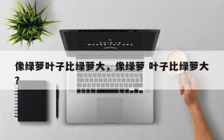 像绿萝叶子比绿萝大，像绿萝 叶子比绿萝大？