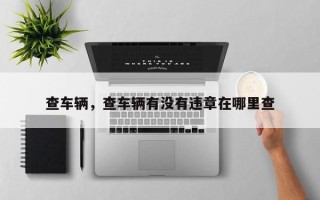 查车辆，查车辆有没有违章在哪里查