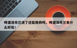 啤酒浇吊兰浇了还能挽救吗，啤酒浇吊兰有什么好处！