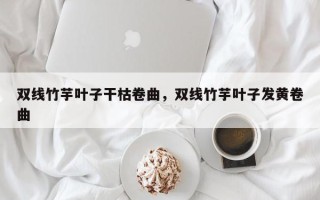 双线竹芋叶子干枯卷曲，双线竹芋叶子发黄卷曲