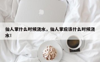 仙人掌什么时候浇水，仙人掌应该什么时候浇水！
