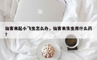 仙客来起小飞虫怎么办，仙客来生虫用什么药？