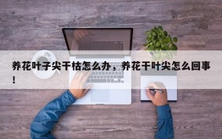 养花叶子尖干枯怎么办，养花干叶尖怎么回事！
