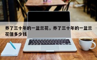 养了三十年的一盆兰花，养了三十年的一盆兰花值多少钱