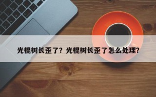 光棍树长歪了？光棍树长歪了怎么处理？