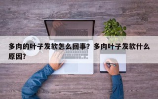 多肉的叶子发软怎么回事？多肉叶子发软什么原因？