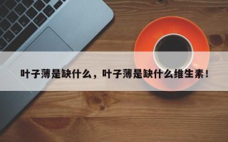 叶子薄是缺什么，叶子薄是缺什么维生素！