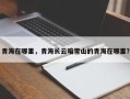 青海在哪里，青海长云暗雪山的青海在哪里？