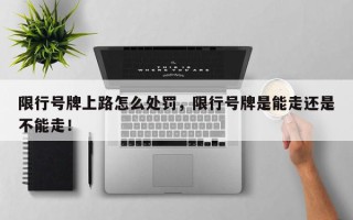 限行号牌上路怎么处罚，限行号牌是能走还是不能走！