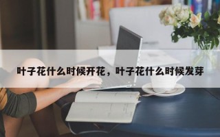 叶子花什么时候开花，叶子花什么时候发芽