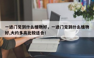一进门见到什么植物好，一进门见到什么植物好,大约多高比较适合！