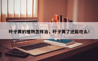 叶子黄的植物怎样治，叶子黄了还能吃么！