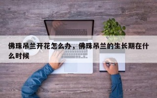 佛珠吊兰开花怎么办，佛珠吊兰的生长期在什么时候