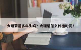 大理菊是多年生吗？大理菊怎么种植时间？