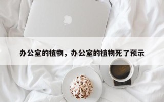 办公室的植物，办公室的植物死了预示