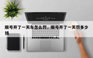 限号开了一天车怎么罚，限号开了一天罚多少钱