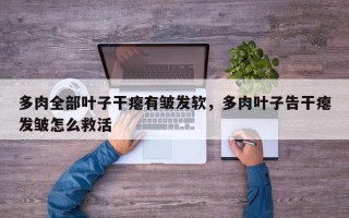 多肉全部叶子干瘪有皱发软，多肉叶子告干瘪发皱怎么救活