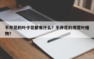 不开花的叶子花都有什么？不开花的观赏叶植物？