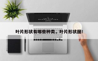 叶片形状有哪些种类，叶片形状图！