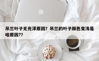 吊兰叶子无光泽原因？吊兰的叶子颜色变浅是啥原因?？
