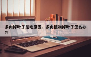 多肉掉叶子是啥原因，多肉植物掉叶子怎么办?！