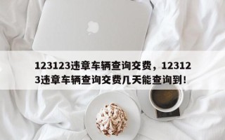 123123违章车辆查询交费，123123违章车辆查询交费几天能查询到！