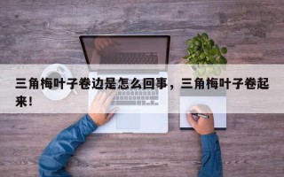 三角梅叶子卷边是怎么回事，三角梅叶子卷起来！