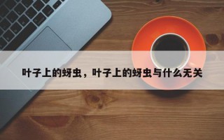 叶子上的蚜虫，叶子上的蚜虫与什么无关