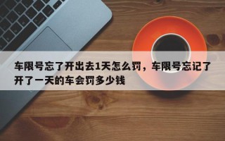 车限号忘了开出去1天怎么罚，车限号忘记了开了一天的车会罚多少钱