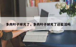 多肉叶子掉光了，多肉叶子掉光了还能活吗