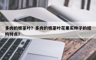 多肉的根茎叶？多肉的根茎叶花果实种子的结构特点？
