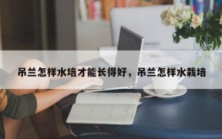 吊兰怎样水培才能长得好，吊兰怎样水栽培