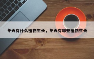 冬天有什么植物生长，冬天有哪些植物生长
