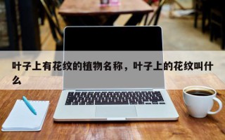 叶子上有花纹的植物名称，叶子上的花纹叫什么