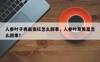 人参叶子表面变红怎么回事，人参叶发黄是怎么回事？