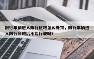 限行车辆进入限行区域怎么处罚，限行车辆进入限行区域后不能行驶吗？