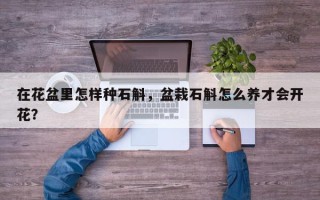 在花盆里怎样种石斛，盆栽石斛怎么养才会开花？