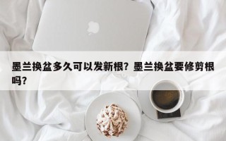墨兰换盆多久可以发新根？墨兰换盆要修剪根吗？
