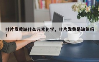 叶片发黄缺什么元素化学，叶片发黄是缺氮吗！