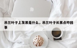 吊兰叶子上发黑是什么，吊兰叶子长黑点咋回事