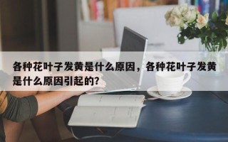 各种花叶子发黄是什么原因，各种花叶子发黄是什么原因引起的？